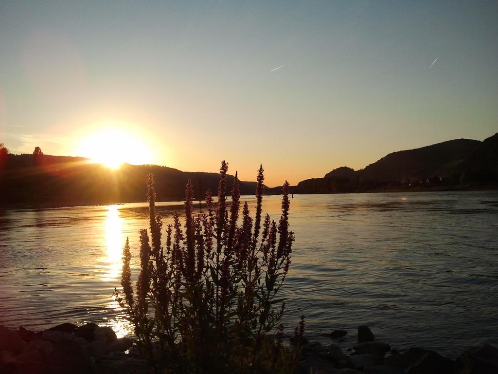 Fe Wo Am Alten Rathaus Andernach Værelse billede